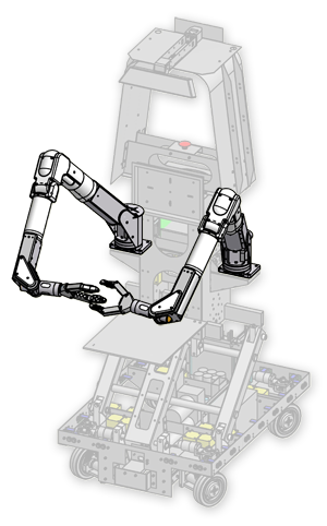 AMOR is used in the TSR rose robot